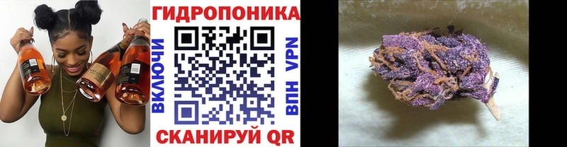 Бошки Шишки гибрид Нерехта